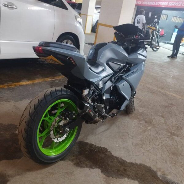 2023 Taro Gp 250 - Image 2