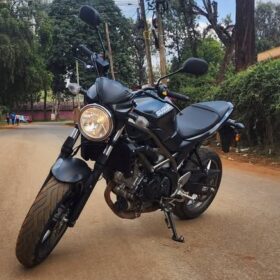 2024 Suzuki SV650