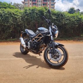 2024 Suzuki SV650