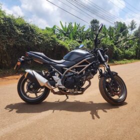 2024 Suzuki SV650