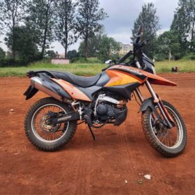 2019 Raleigh Rx250