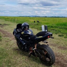 Honda CBR 929RR 2001