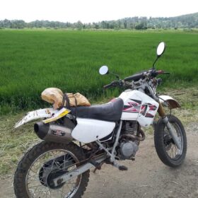 2007 Honda XL200