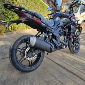VOGE DS 300CC